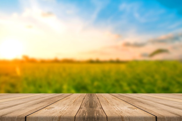 empty wooden plank for product display background