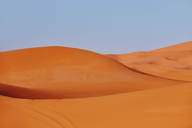 Endless Sands del deserto del Sahara, il sole cocente splende sulle dune di sabbia. Marocco Merzouga