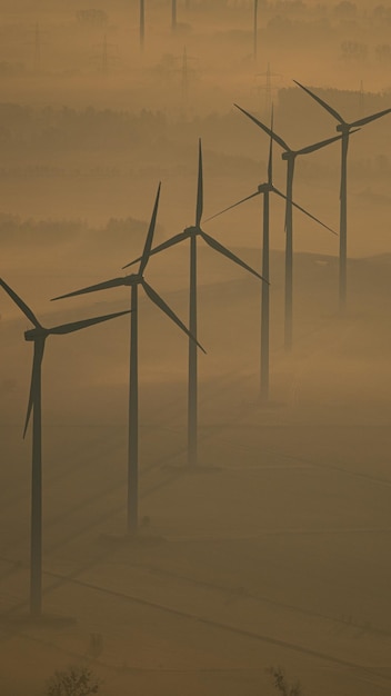 Energia eolica sul campo