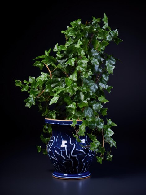 English Ivy Hedera helix Studio Shot isolato su sfondo trasparente AI generativa