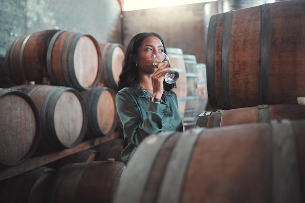 Enologo con bicchiere da degustazione di vino bianco Chardonnay o bevanda alcolica di qualità in azienda vinicola o magazzino Imprenditore nel settore della vinificazione dell'ospitalità che prova il sapore in cantina