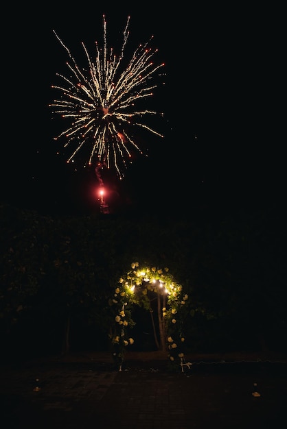 Enorme esplosione di fuochi d'artificio davanti al cielo notturno nero