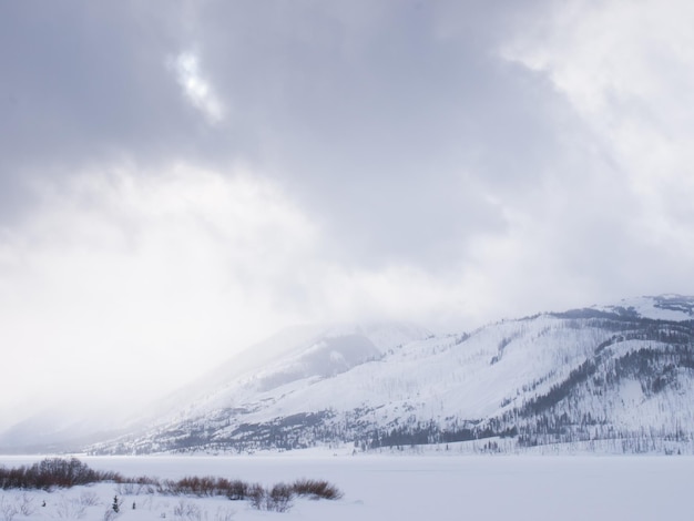 EPaesaggio invernale del parco nazionale Great Teton.