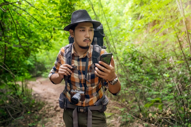 Equipaggi il viaggiatore con lo zaino facendo uso dello smartphone nella foresta