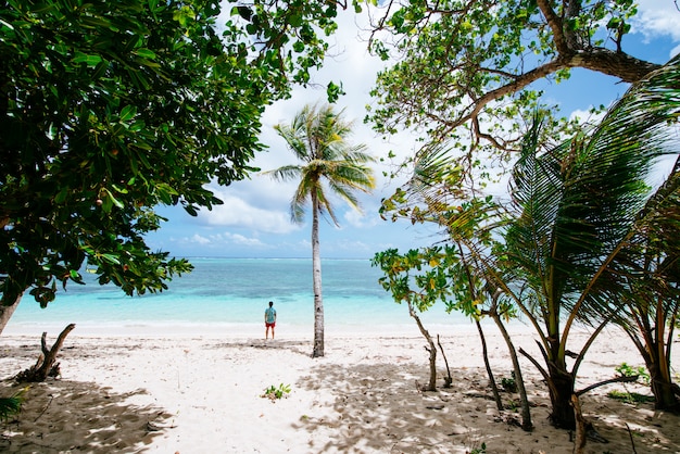 Equipaggi la condizione sulla spiaggia e godersi il posto tropicale con una vista. colori del Mar dei Caraibi e palme sullo sfondo. Concetto di viaggi e stile di vita