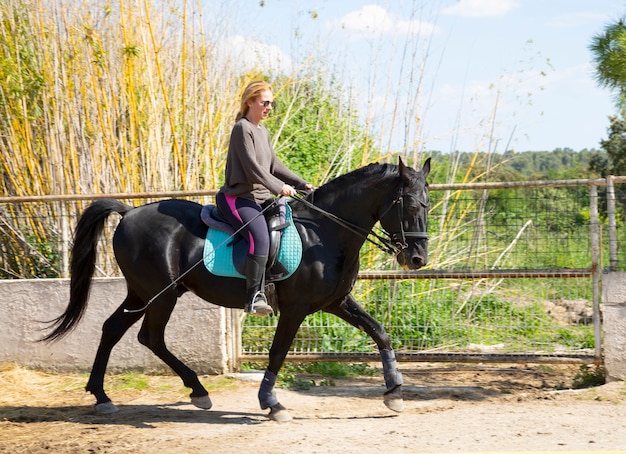 Equitazione ragazza e cavallo