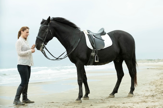 Equitazione ragazza e cavallo