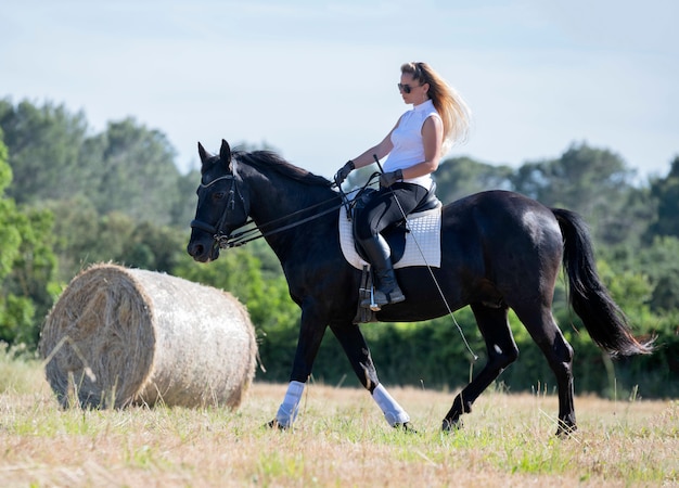 Equitazione ragazza e cavallo