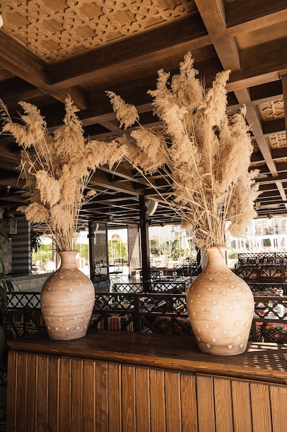 Erba di pampa, piante di canna in vasi di terracotta. Interior design orientale tradizionale con mobili in legno