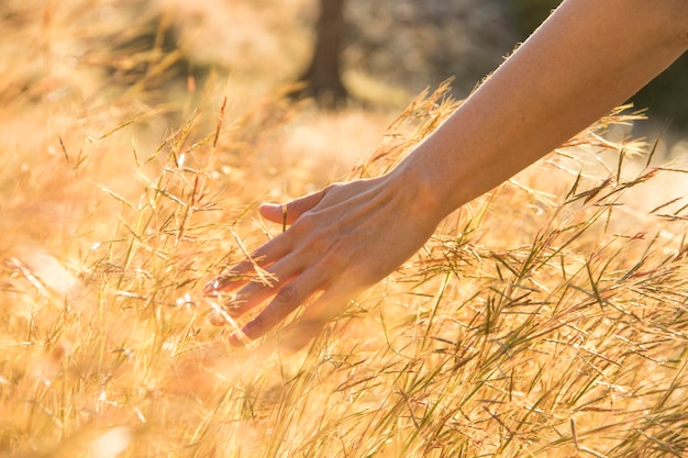 Erba di prato al sole del mattino giovane donna che cammina