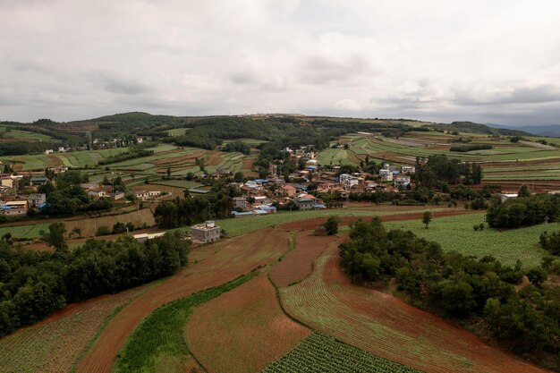 Erba e alberi in Xundian Yunnan Cina