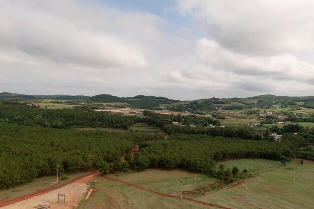 Erba e alberi in Xundian Yunnan Cina