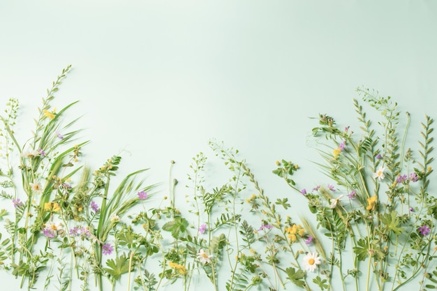 Erba selvatica e fiori su sfondo di carta verde