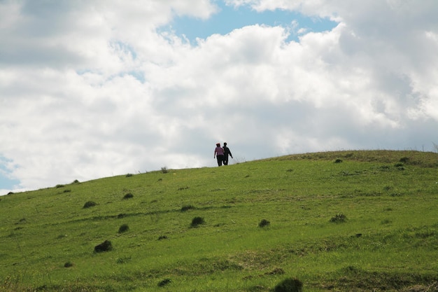 erba sulla collina