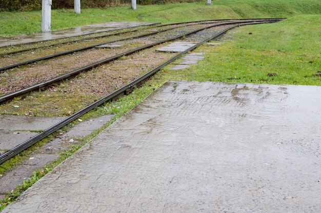 Erba sulle rotaie del tram sotto la pioggia