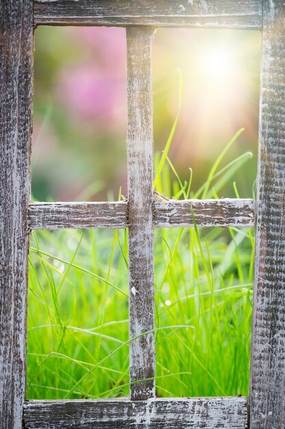 Erba verde alla finestra Concetto di vacanze di primavera