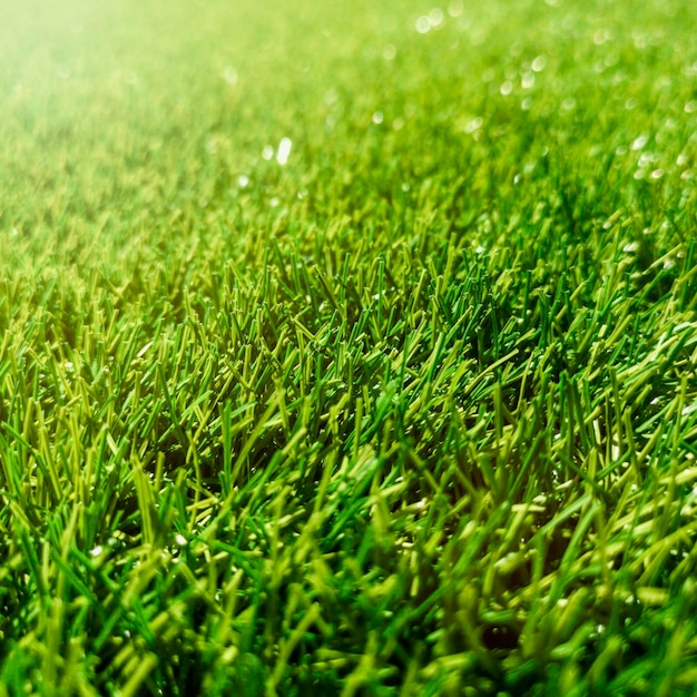 Erba verde artificiale, erba verde, trama di sfondo erba