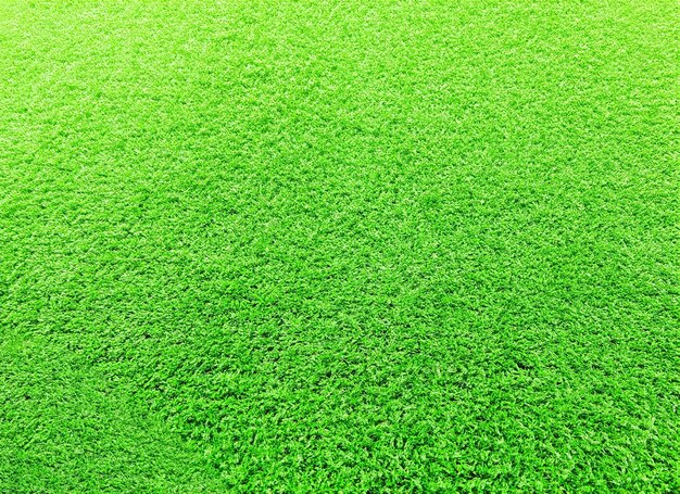 erba verde artificiale sfondo