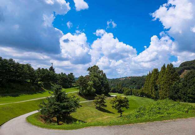 Erba verde campo da golf nuvola e cielo blu