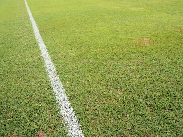 erba verde con linea bianca del campo di calcio