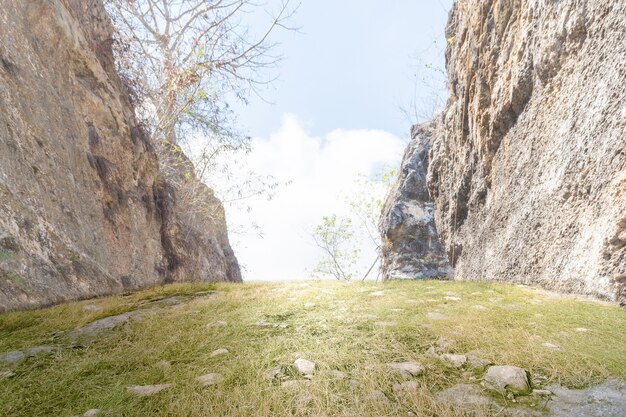 Erba verde con rocce e cielo blu