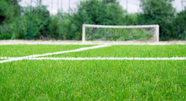 erba verde del campo da calcio