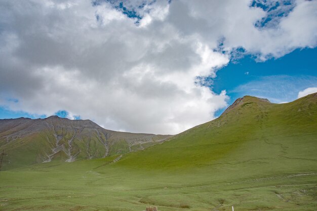 Erba verde delle montagne di estate e paesaggio del cielo blu