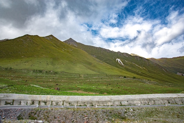 Erba verde delle montagne di estate e paesaggio del cielo blu