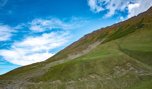 Erba verde delle montagne di estate e paesaggio del cielo blu