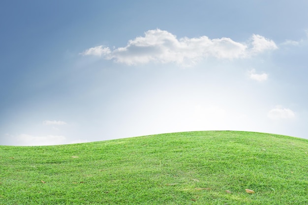 Erba verde e cielo blu