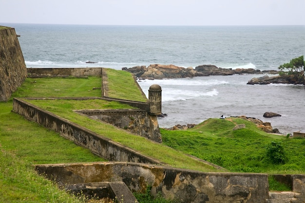 erba verde e mare