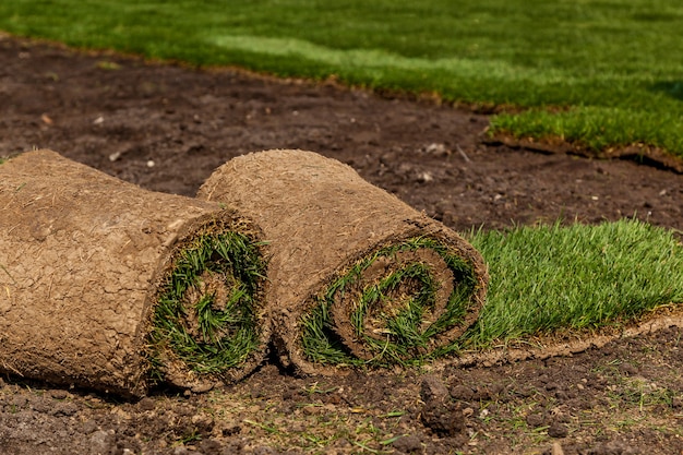 Erba verde in rotoli per prato e paesaggi di design. L'impilamento dell'erba del prato verde in rotoli