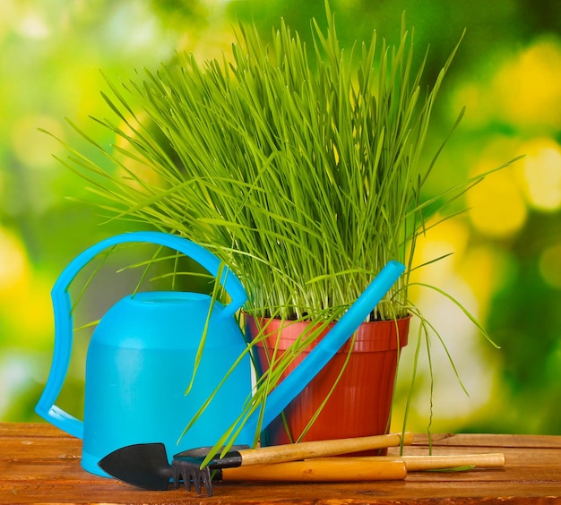 Erba verde in un vaso di fiori su sfondo verde