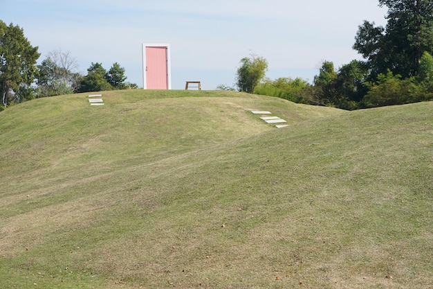 erba verde nel parco