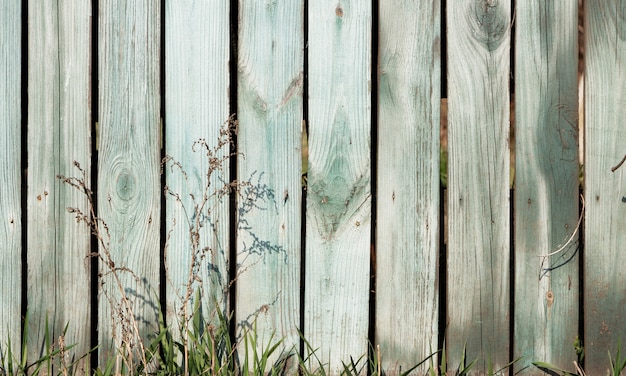 Erba verde su uno sfondo di recinzione in stile rustico vecchio.