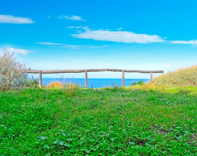 Erba verde sulla costa a Lu Bagnu Sardegna