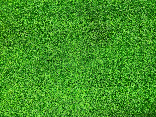 Erba verde texture di sfondo erba giardino concetto utilizzato per fare lo sfondo verde