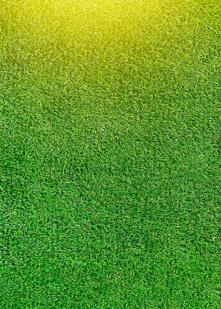 Erba verde texture di sfondo erba giardino concetto utilizzato per fare sfondo verde campo da calcio Erba Golf prato verde modello textured backgroundx9