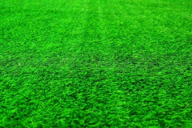 Erba verde texture di sfondo giardino di erba concetto utilizzato per fare sfondo verde campo da calcio Erba Golf prato verde modello strutturato sfondo