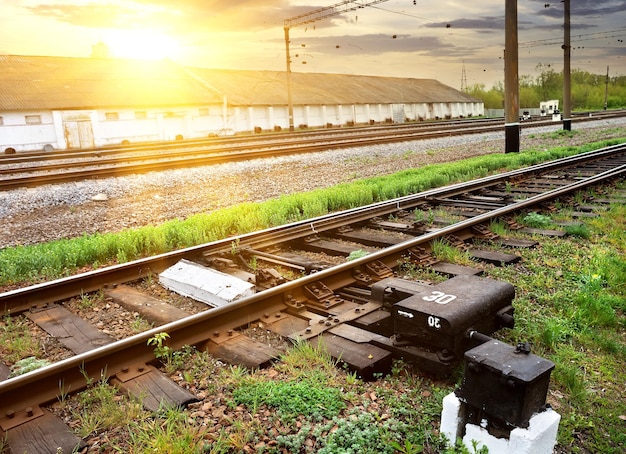 Erba verde vicino ai binari lungo la stazione industriale