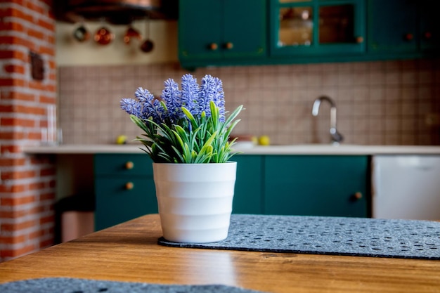 Erba viola in vaso bianco su un tavolo in cucina.