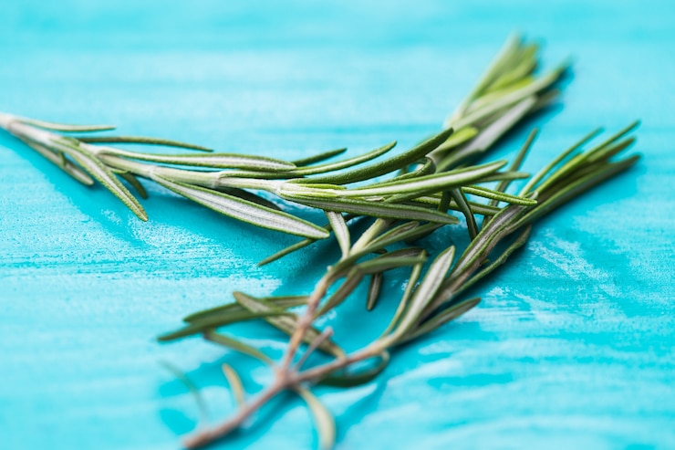 Foto erbe aromatiche di rosmarino su bianco su fondo di legno turchese