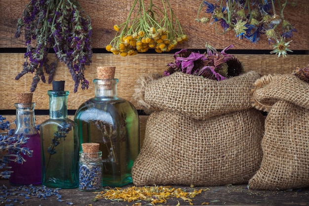 Erbe curative in sacchetti mazzi di erbe medicinali e bottiglie di tintura o olio erboristeria