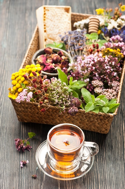 Erbe e fiori secchi e freschi e tisane Erboristeria