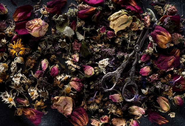 Erbe e fiori secchi per tisane e forbici vintage. Sfondo di erbe curative