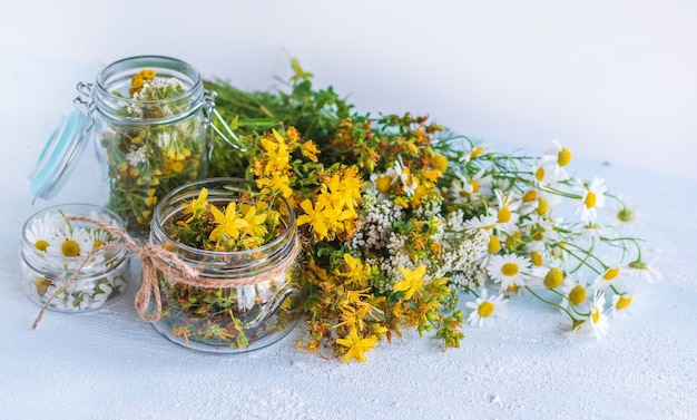 Erbe medicinali di camomilla ed erba di San Giovanni