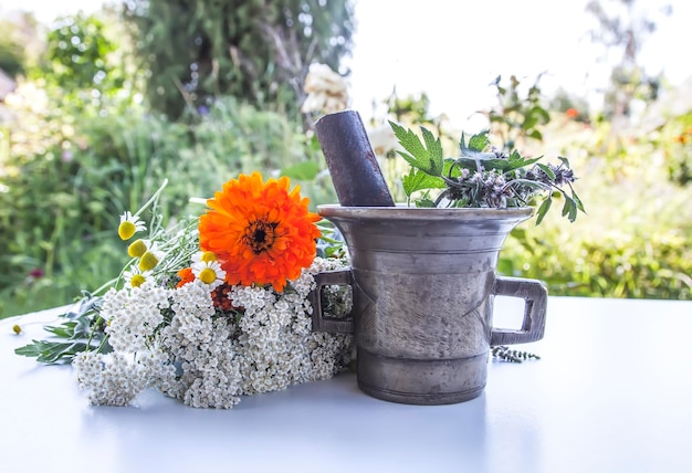 Erbe medicinali Fiori estivi luminosi in mortaio di ottone