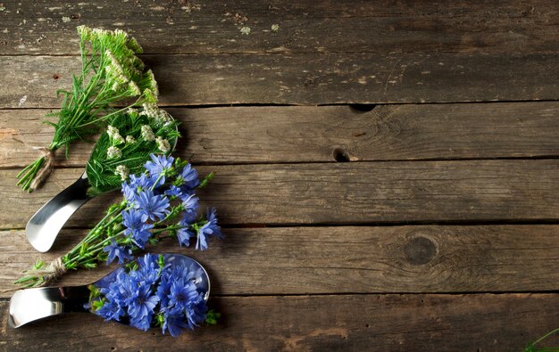 Erbe medicinali fresche Erbe medicinali (camomilla, assenzio, achillea, menta, erba di San Giovanni e cicoria) su una tavola di legno vecchio in vista dall'alto con spazio di copia