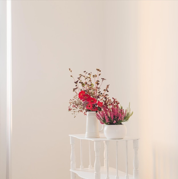Erica in vaso di fiori e bouquet in vaso su sfondo bianco