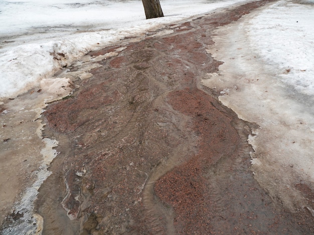 Erosione da acque alluvionali. Flusso di primavera. Terreno spazzato via da un ruscello.